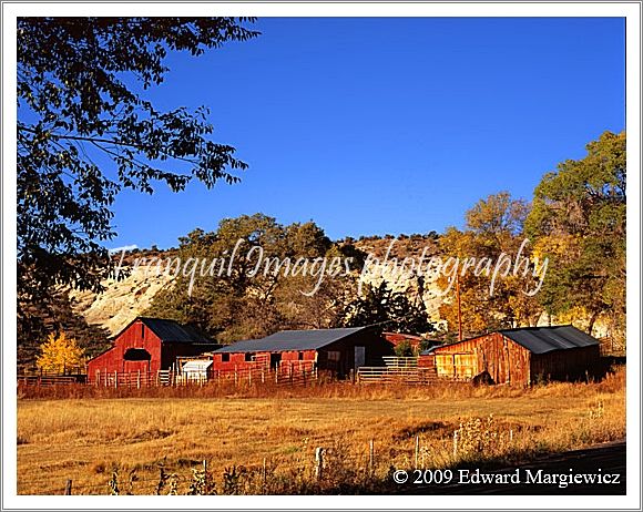 450638 Stables and Red Barn on Boulder Mountain